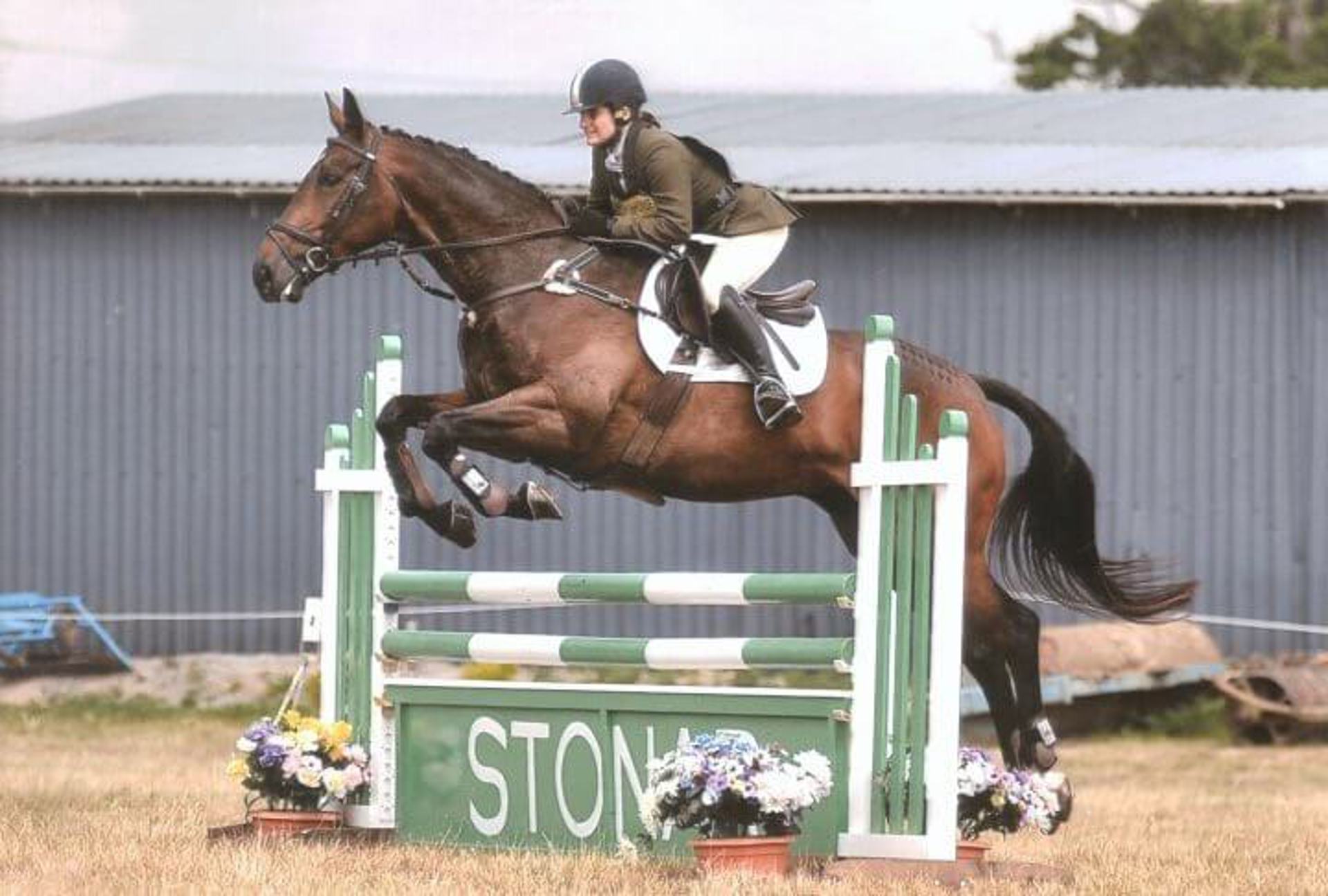 A horse rider jumping over a green fence A horse rider jumping over a green fence