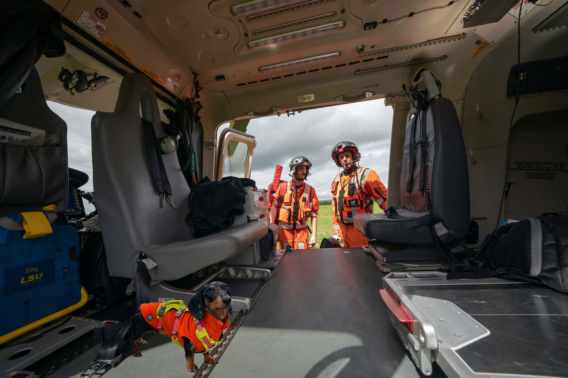 A photoshopped Dachshund wearing an orange flight suit in Wiltshire Air Ambulance's helicopter with two paramedics looking in A photoshopped Dachshund wearing an orange flight suit in Wiltshire Air Ambulance's helicopter with two paramedics looking in